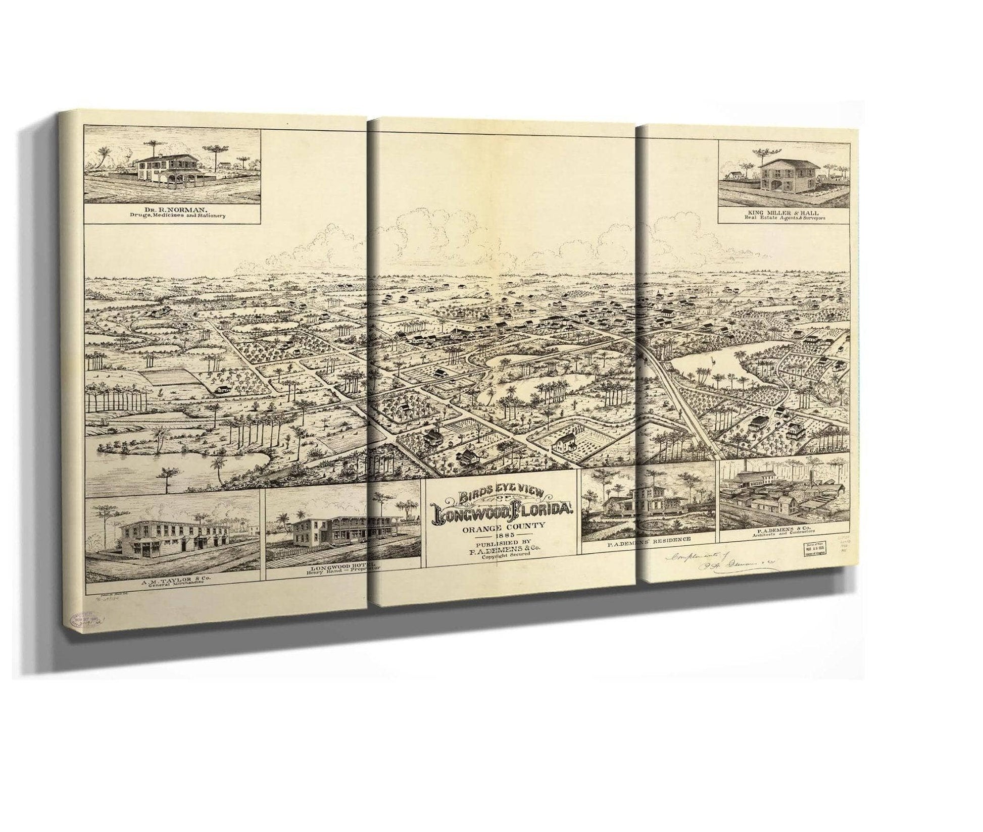 Birds Eye View Of Longwood Florida Orange County 1885  State Of Florida