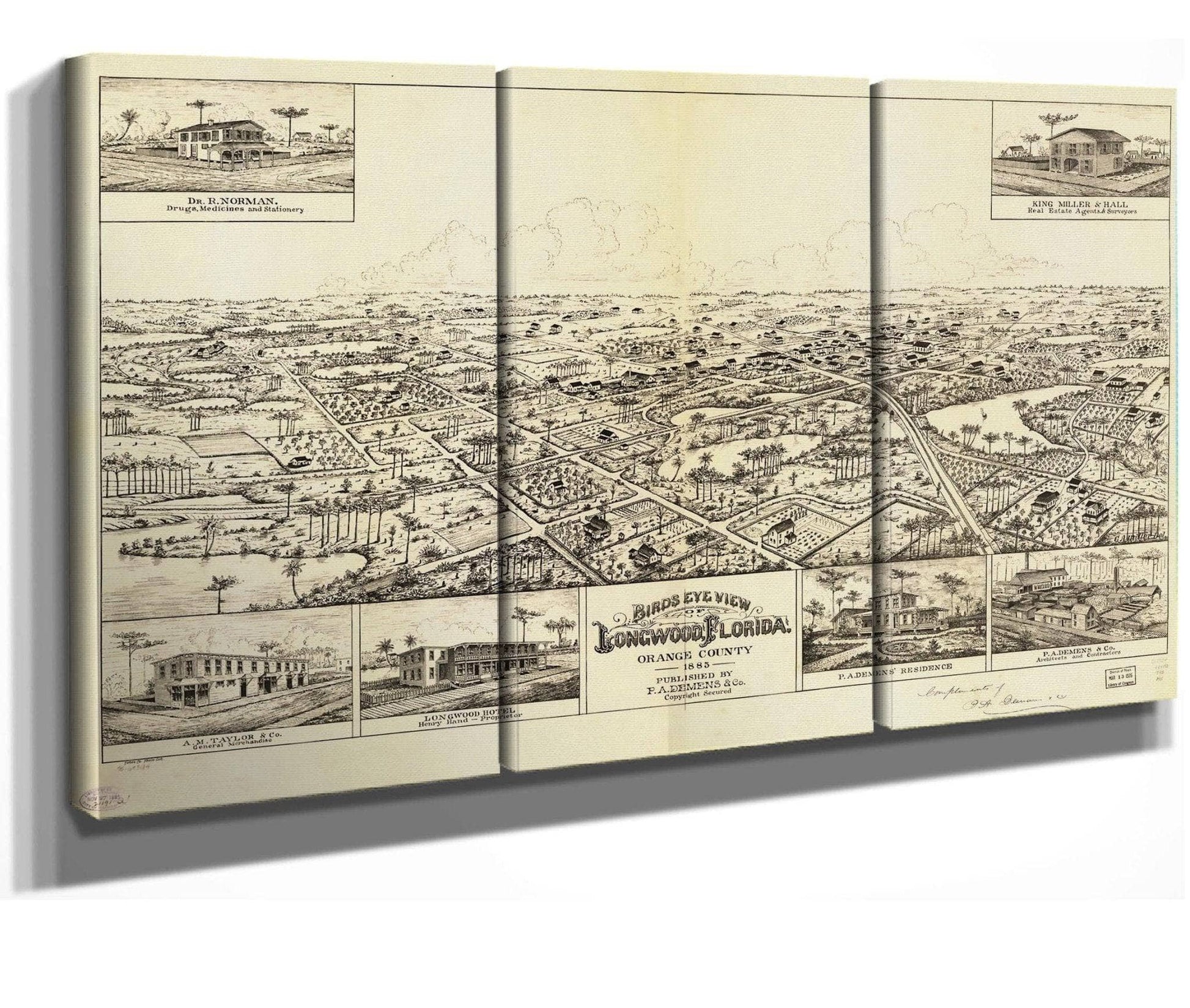 Birds Eye View Of Longwood Florida Orange County 1885  State Of Florida