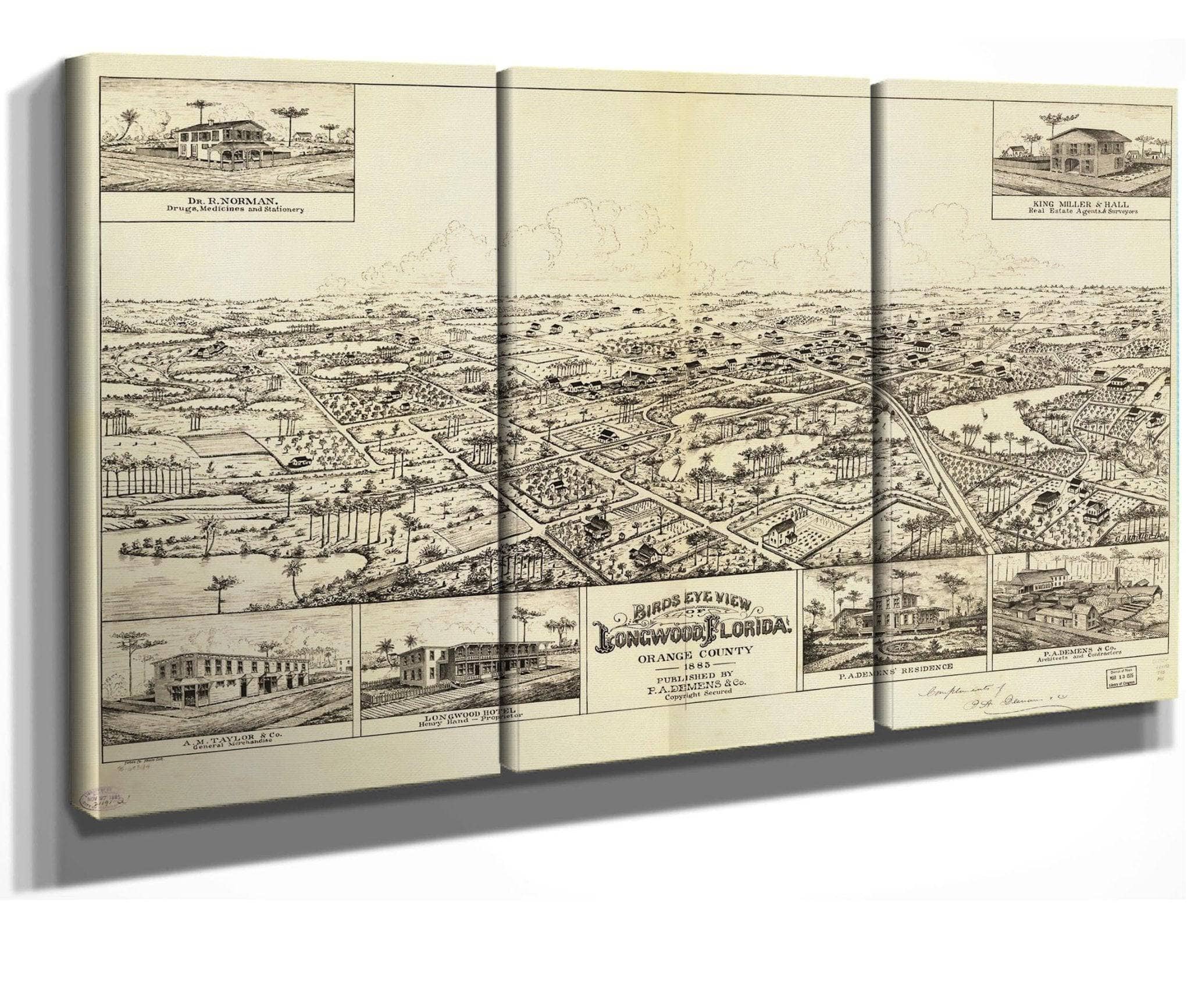 Birds Eye View Of Longwood Florida Orange County 1885  State Of Florida