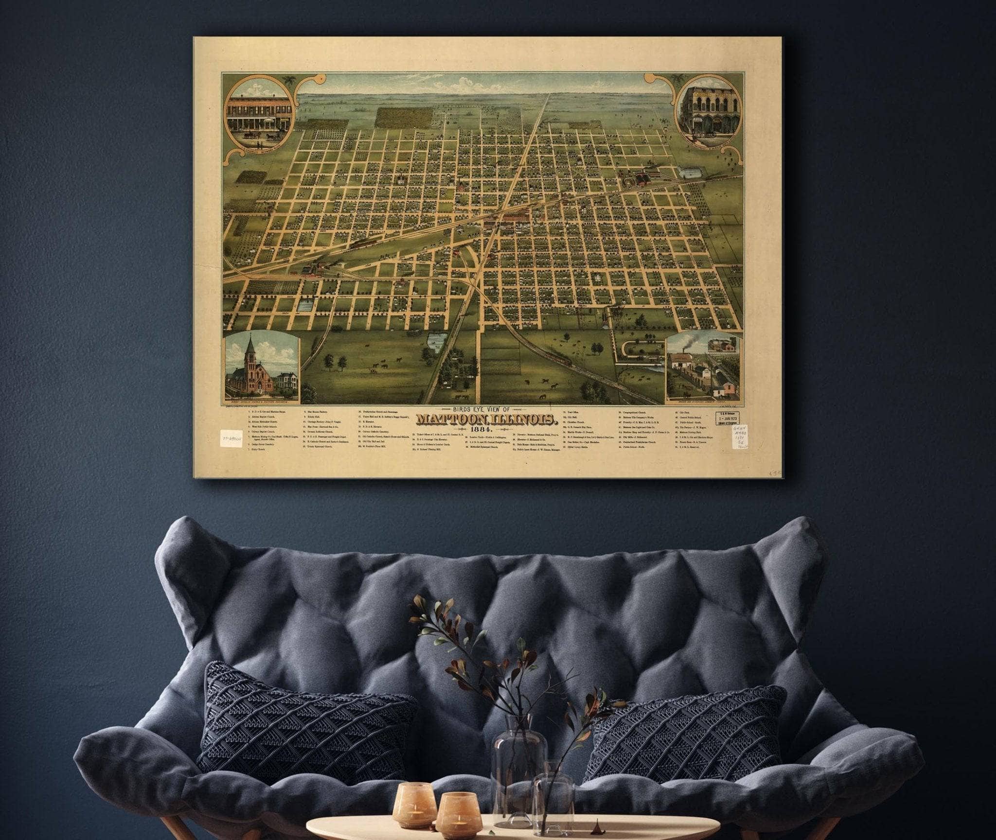 Birds Eye View Of Mattoon Illinois 1884 State of Illinois