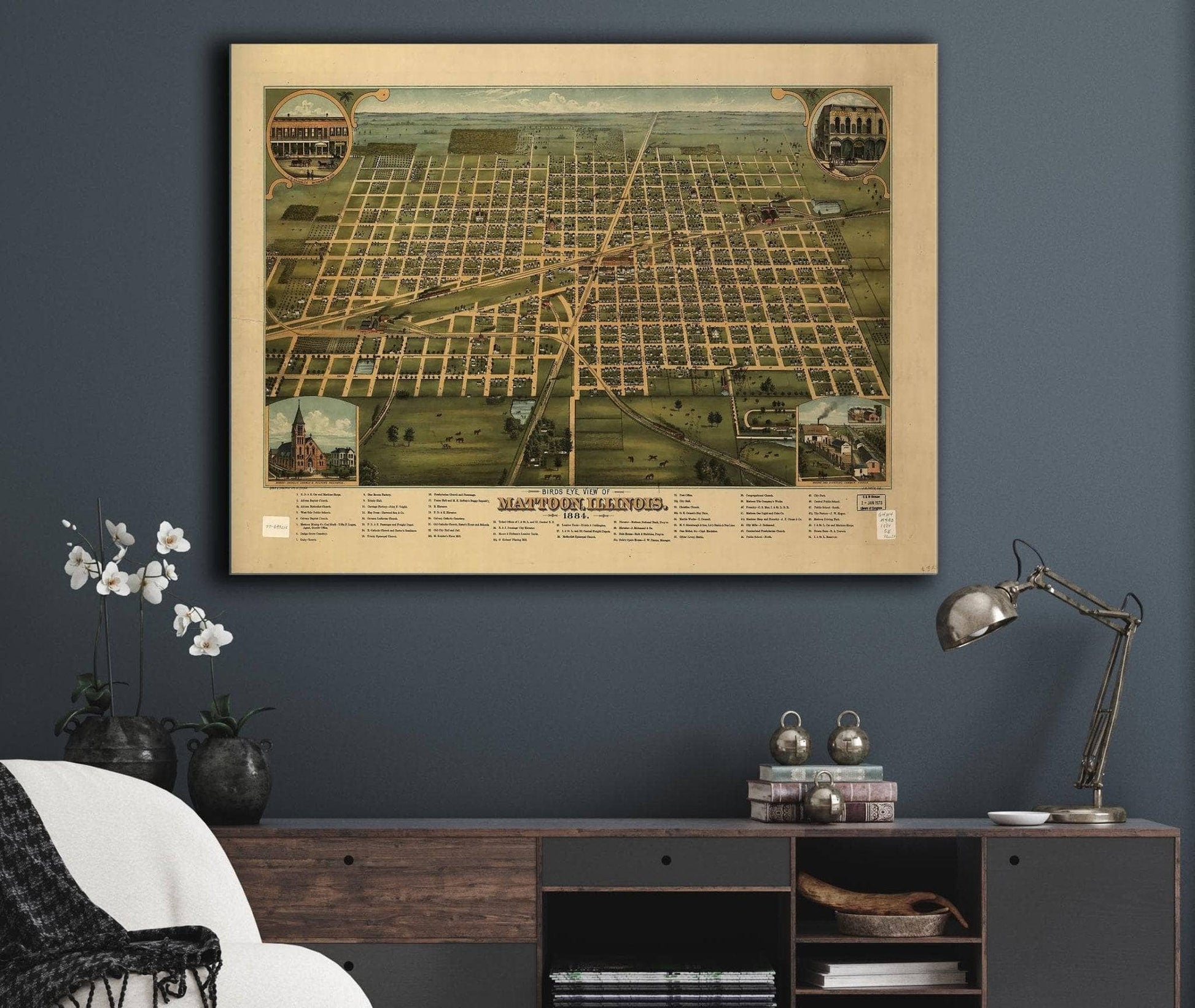 Birds Eye View Of Mattoon Illinois 1884 State of Illinois
