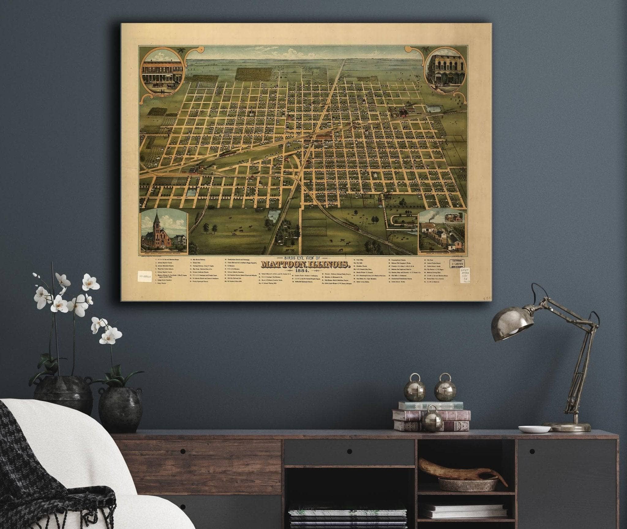 Birds Eye View Of Mattoon Illinois 1884 State of Illinois