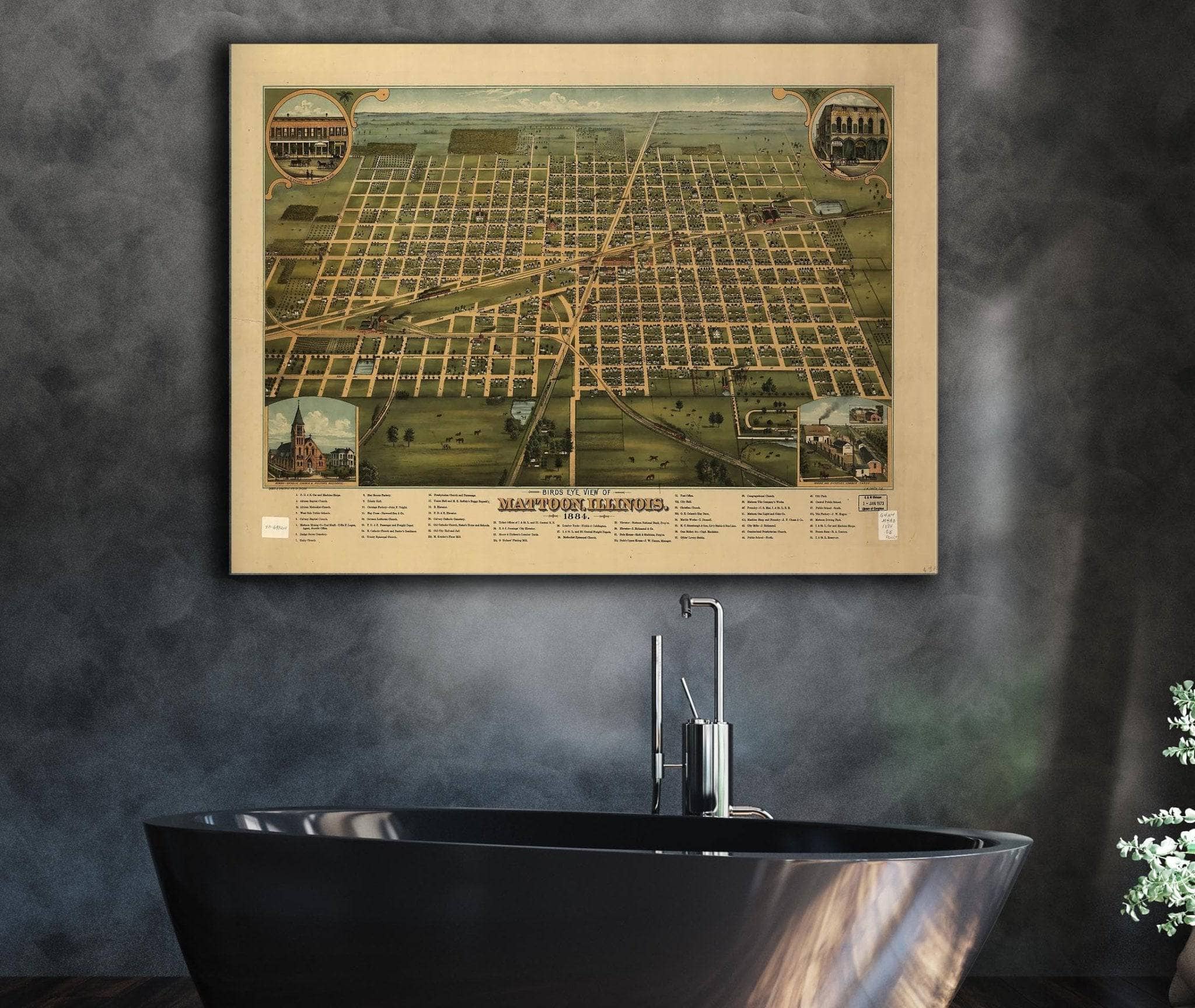 Birds Eye View Of Mattoon Illinois 1884 State of Illinois