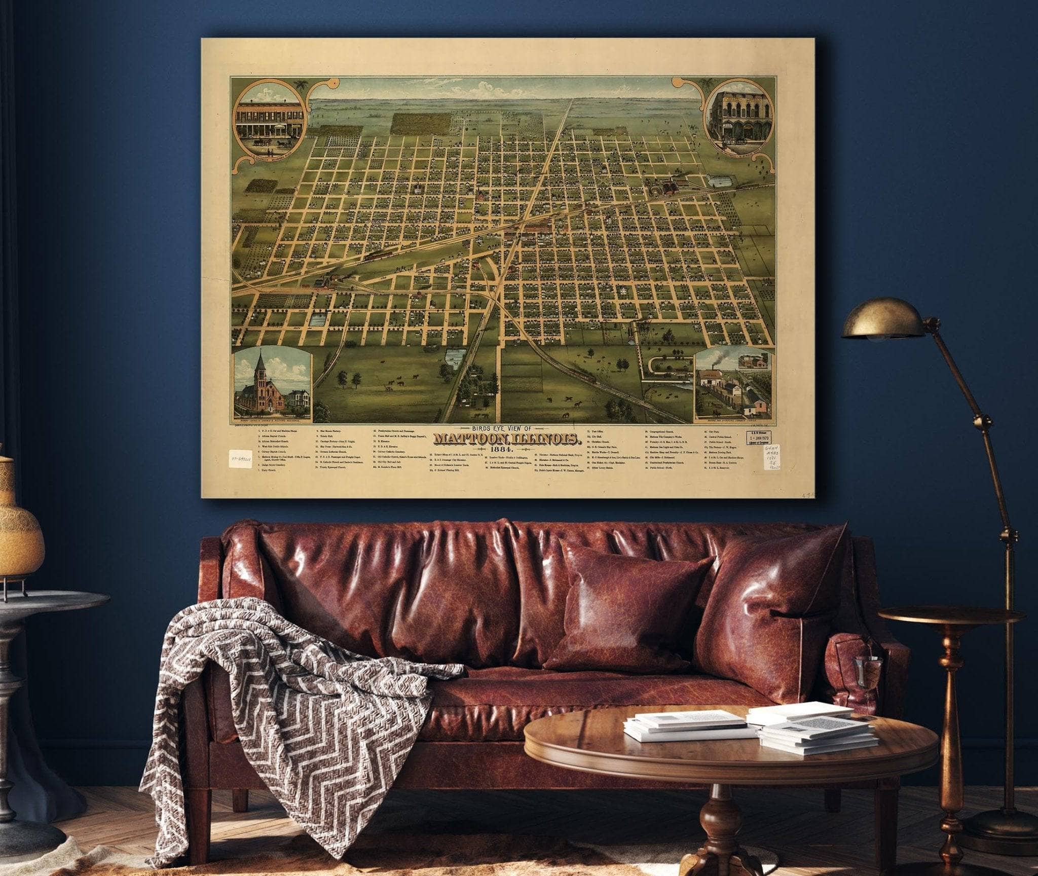 Birds Eye View Of Mattoon Illinois 1884 State of Illinois
