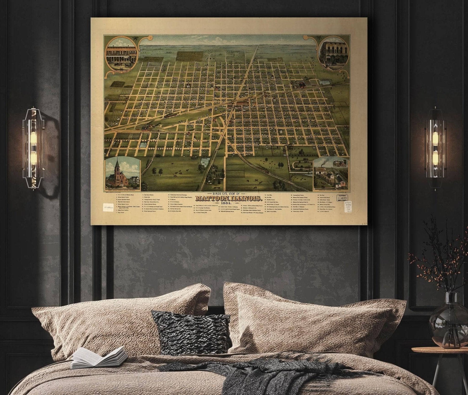 Birds Eye View Of Mattoon Illinois 1884 State of Illinois