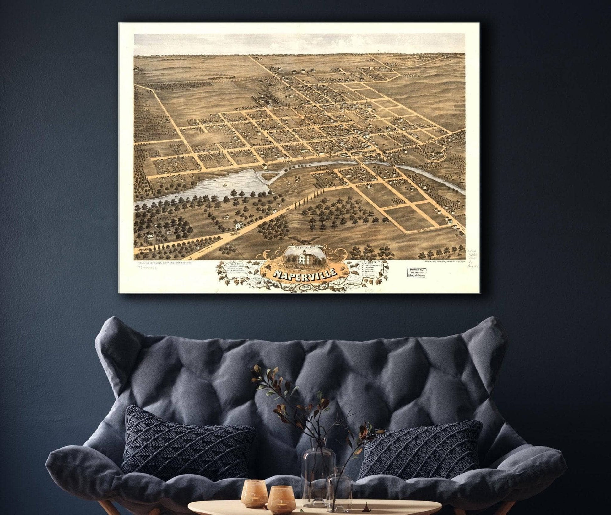 Birds Eye View Of Naperville Dupage County Illinois 1869 State of Illinois