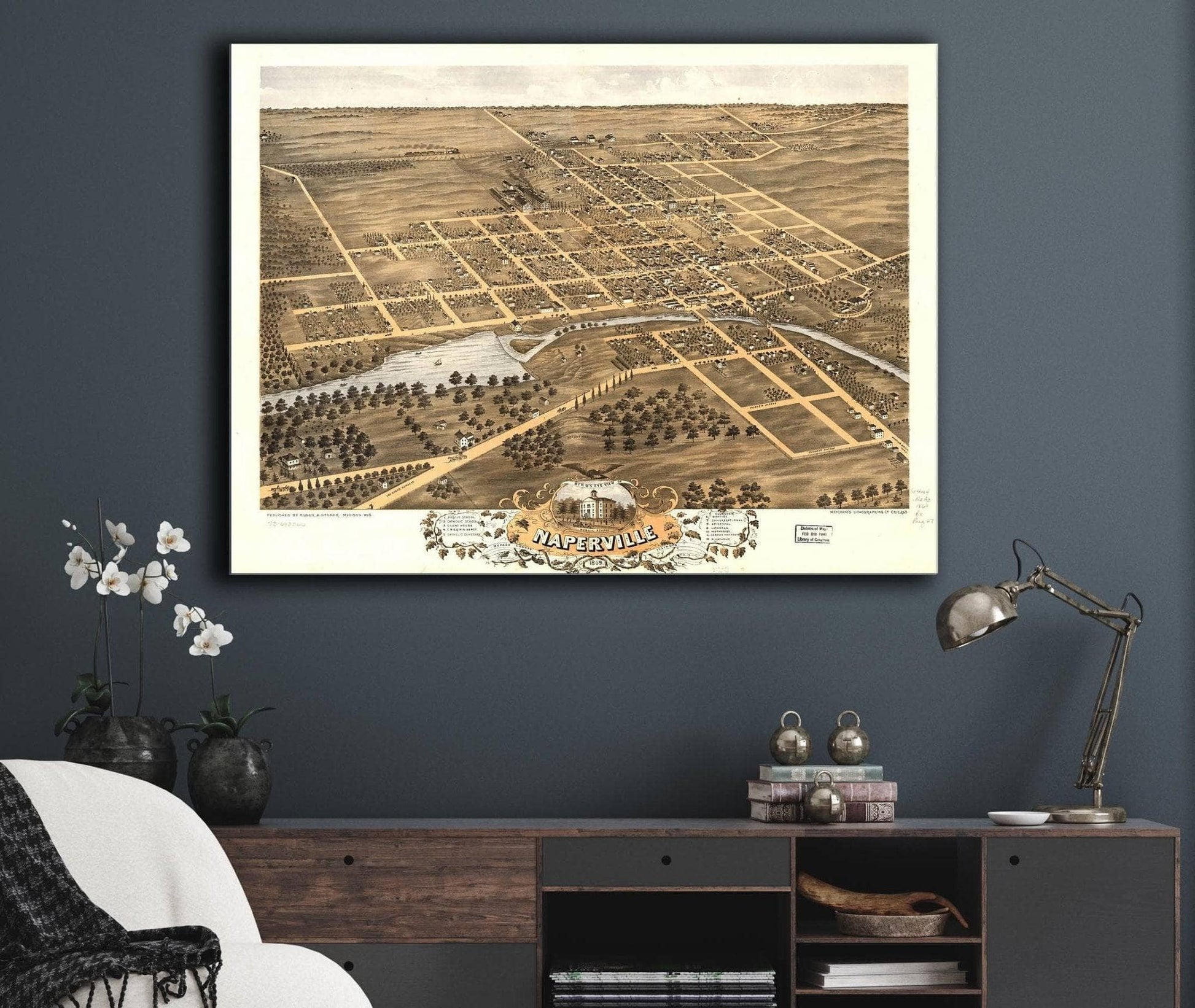 Birds Eye View Of Naperville Dupage County Illinois 1869 State of Illinois
