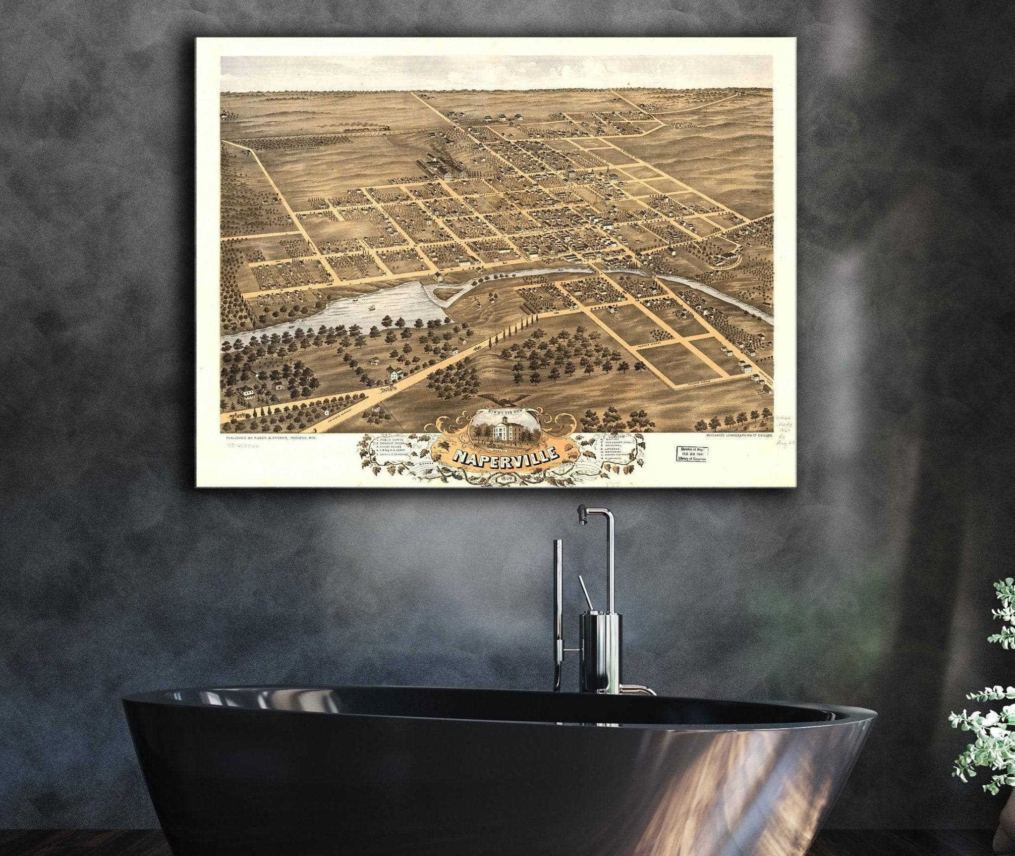 Birds Eye View Of Naperville Dupage County Illinois 1869 State of Illinois
