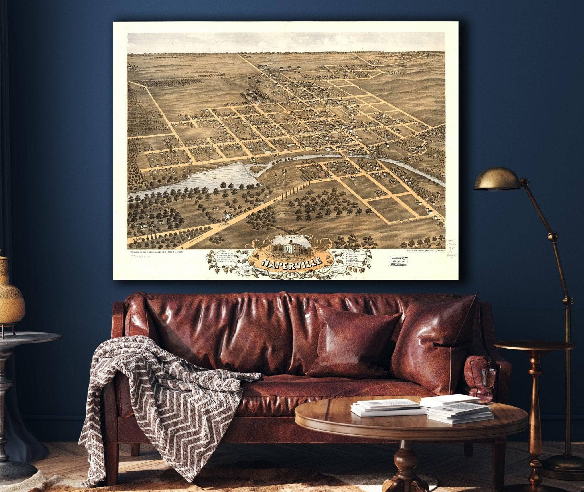 Birds Eye View Of Naperville Dupage County Illinois 1869 State of Illinois