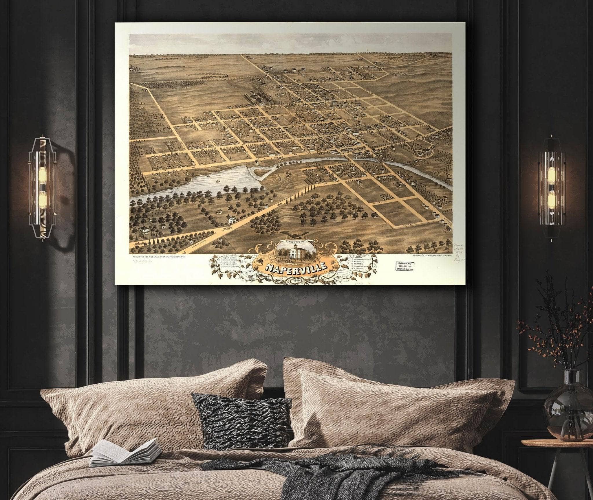 Birds Eye View Of Naperville Dupage County Illinois 1869 State of Illinois