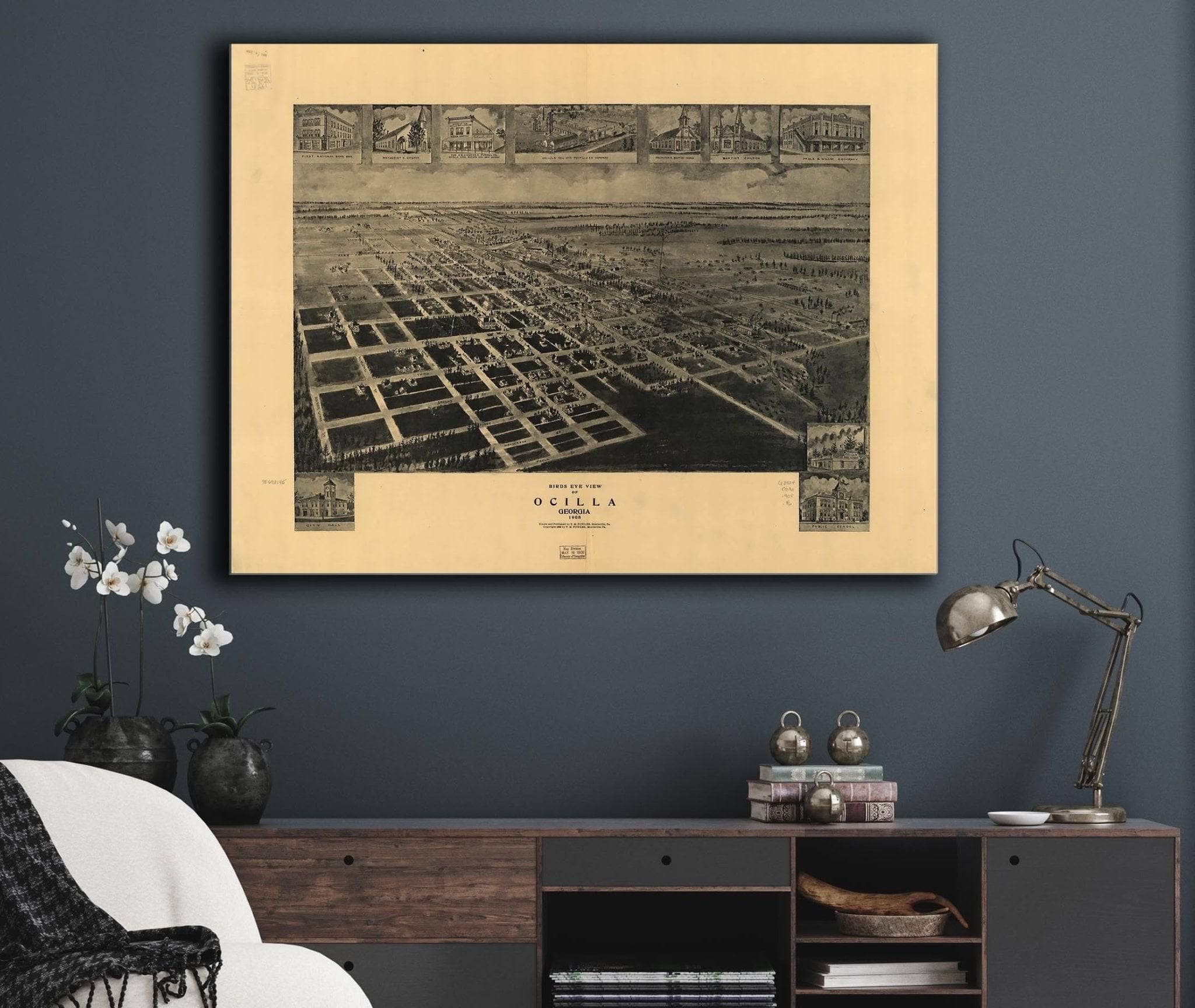 Birds Eye View Of Ocilla Georgia 1908 State of Georgia