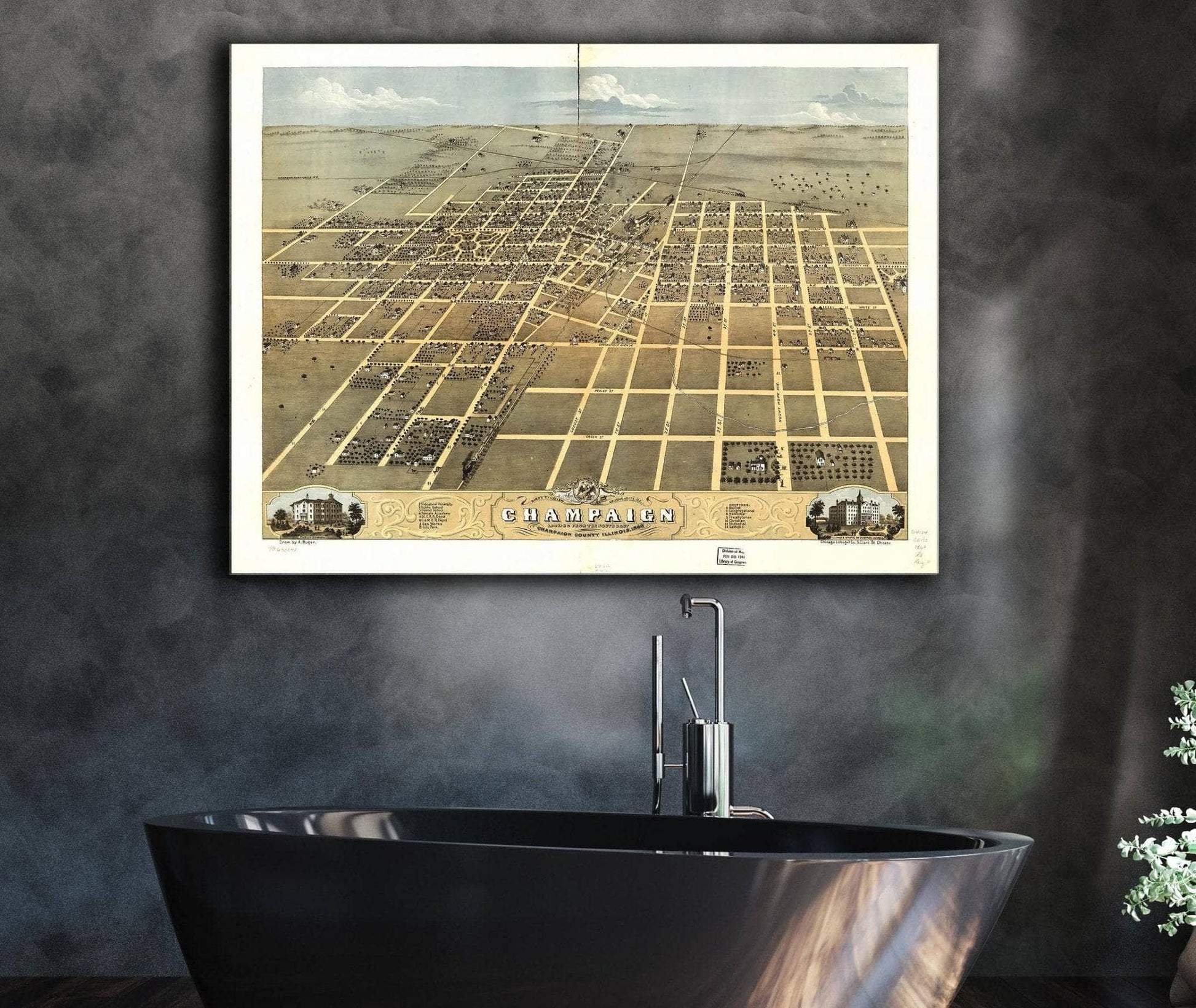 Birds Eye View Of The City Of Champaign Champaign County Illinois 1869 State of Illinois
