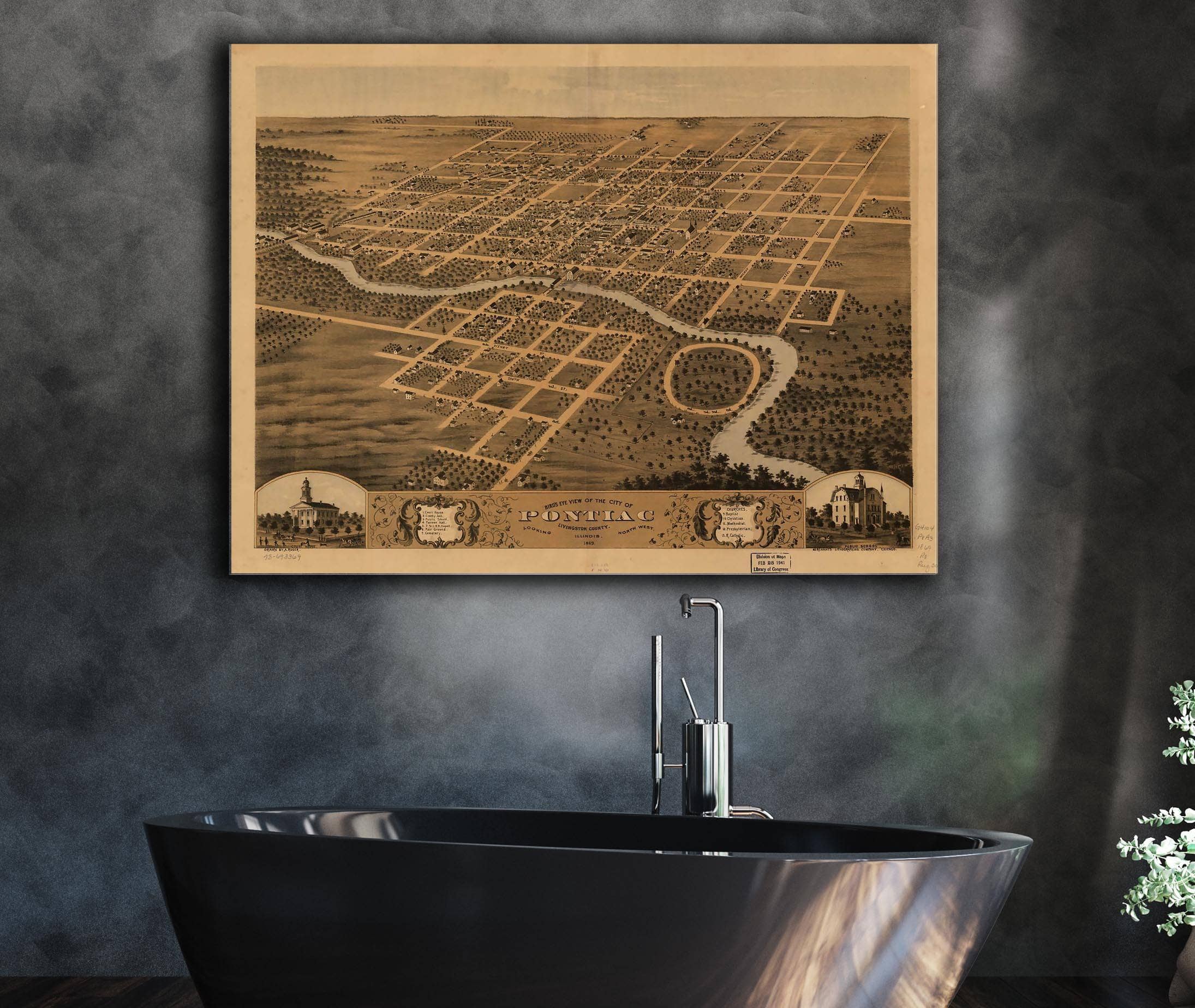 Birds Eye View Of The City Of Pontiac Livingston County Illinois 1869 State of Illinois