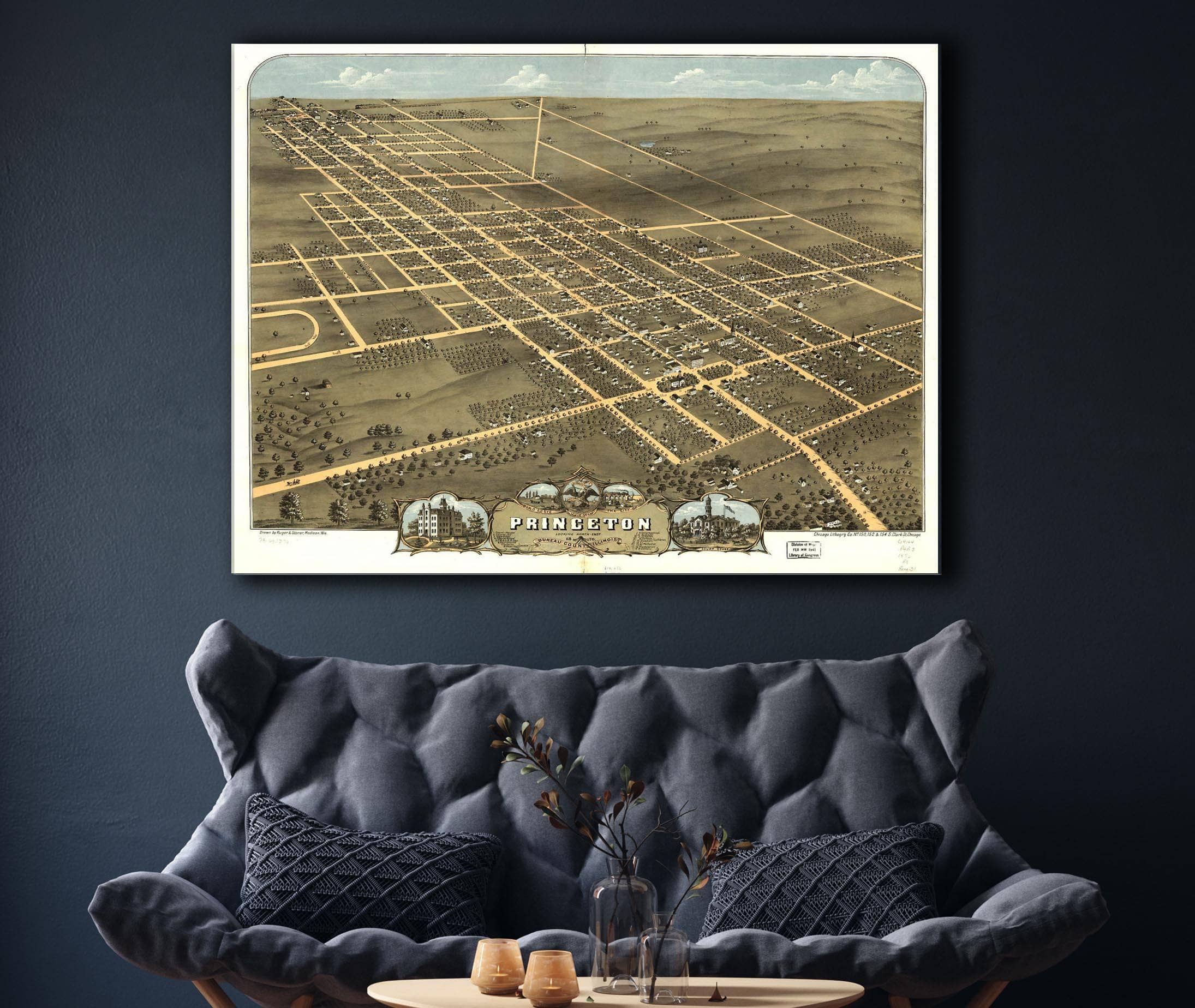 Birds Eye View Of The City Of Princeton Bureau County Illinois 1870 State of Illinois
