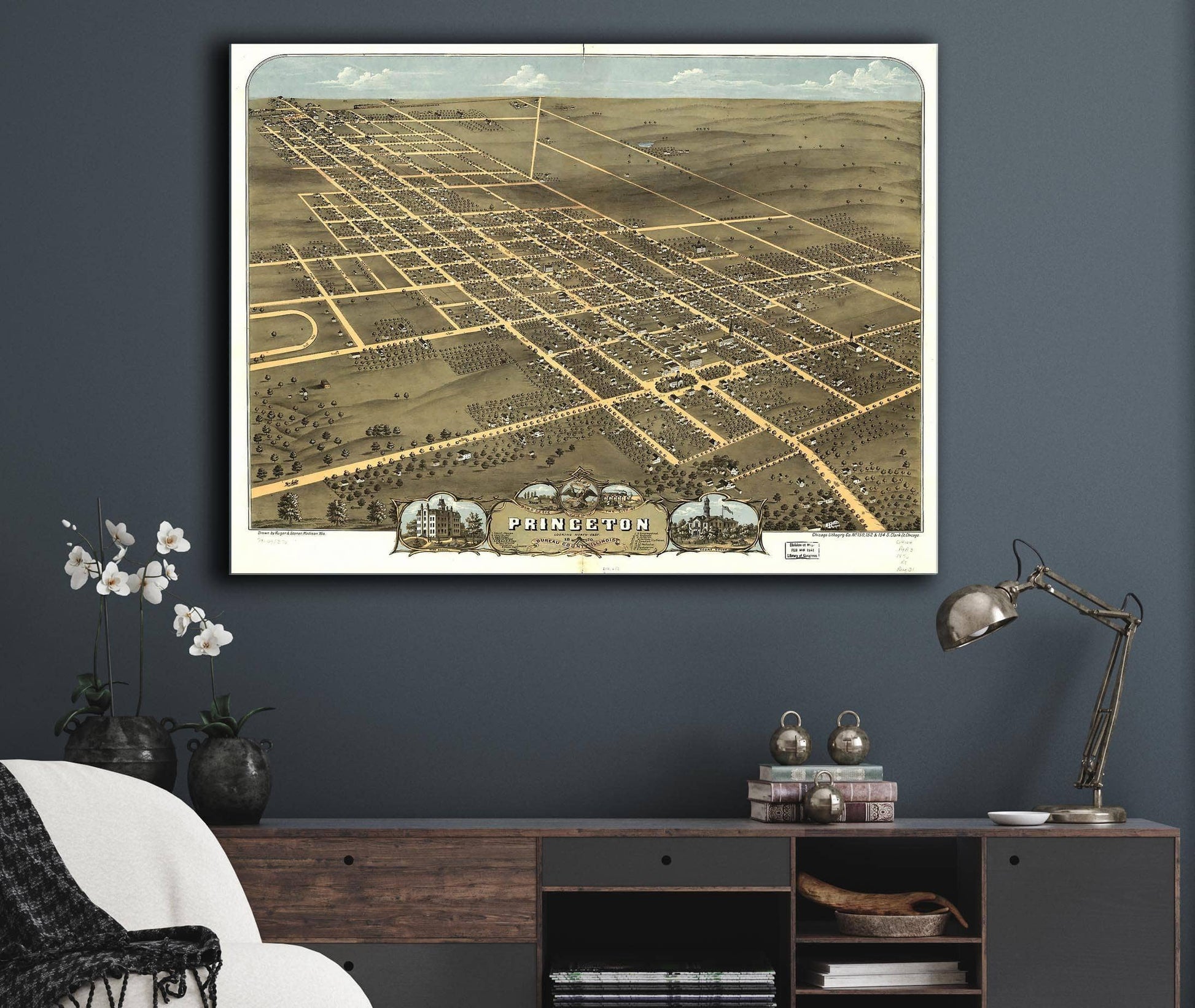 Birds Eye View Of The City Of Princeton Bureau County Illinois 1870 State of Illinois