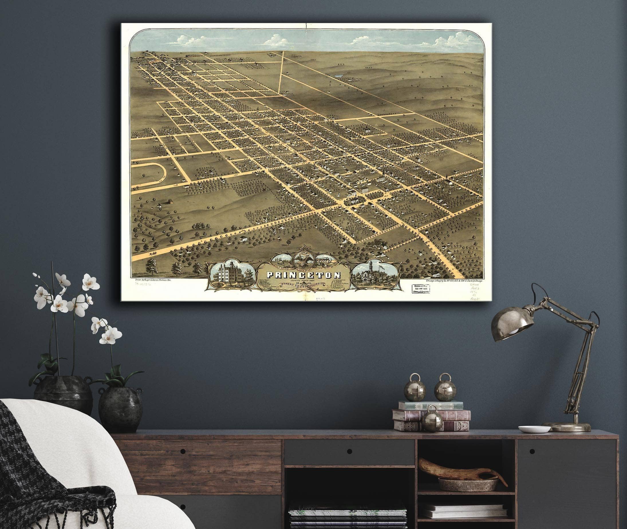 Birds Eye View Of The City Of Princeton Bureau County Illinois 1870 State of Illinois