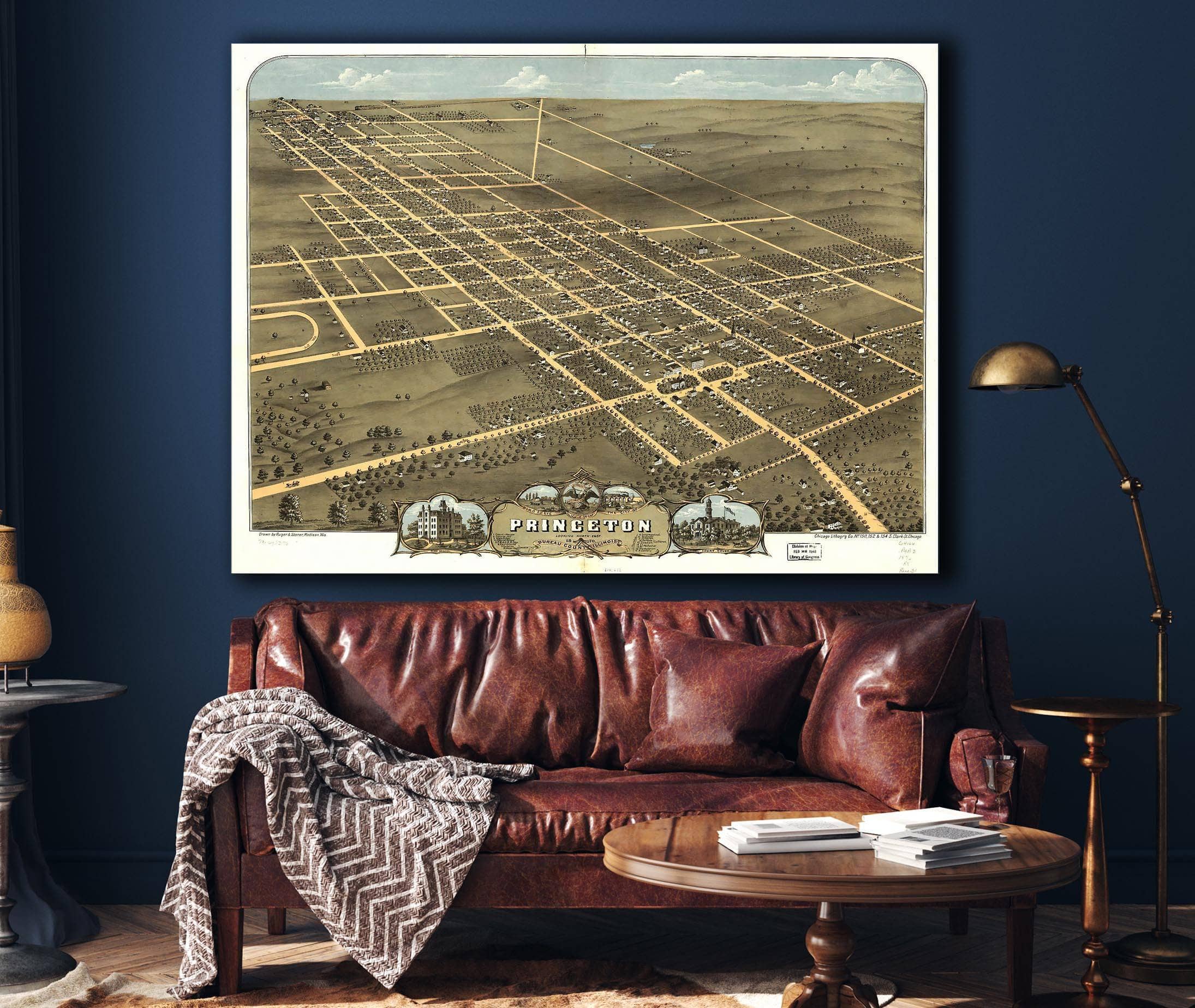 Birds Eye View Of The City Of Princeton Bureau County Illinois 1870 State of Illinois