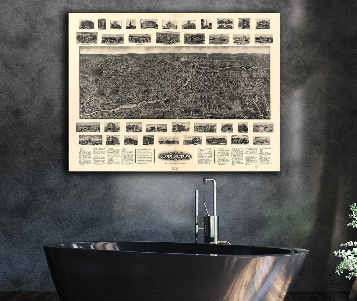 Birds Eye View Of Torrington Connecticut 1907 State of Connecticut