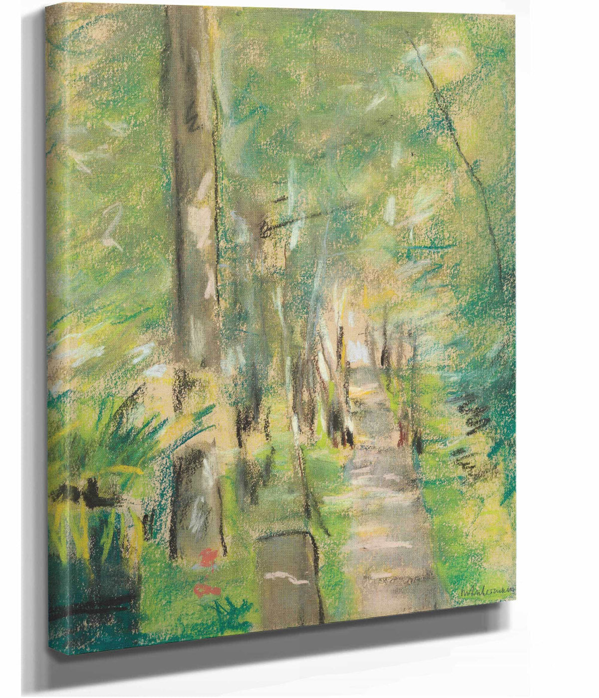 Birkenallee Im Wannseegarten by Max Liebermann