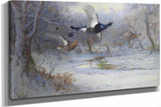 Blackcock And Grouse In Flight Winter by Archibald Thorburn