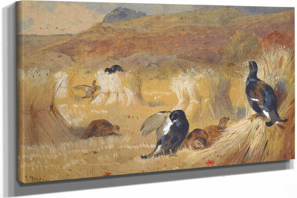 Blackcock In A Field by Archibald Thorburn