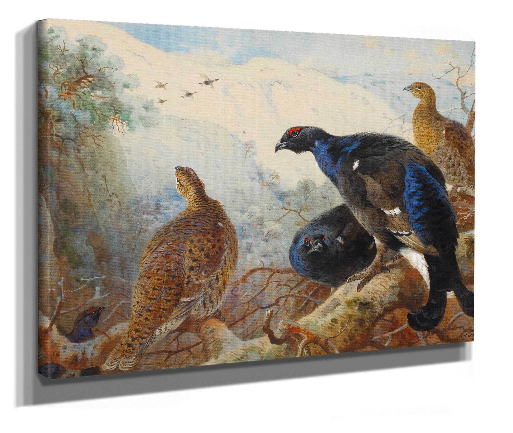 Blackgame by Archibald Thorburn