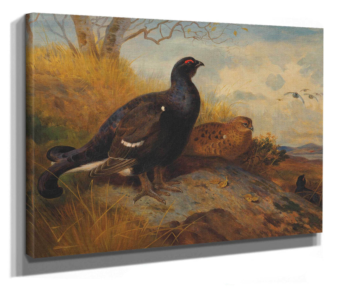 Blackgame On A Rocky Outcrop With A Loch Beyond by Archibald Thorburn