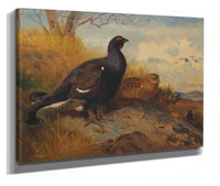 Blackgame On A Rocky Outcrop With A Loch Beyond by Archibald Thorburn