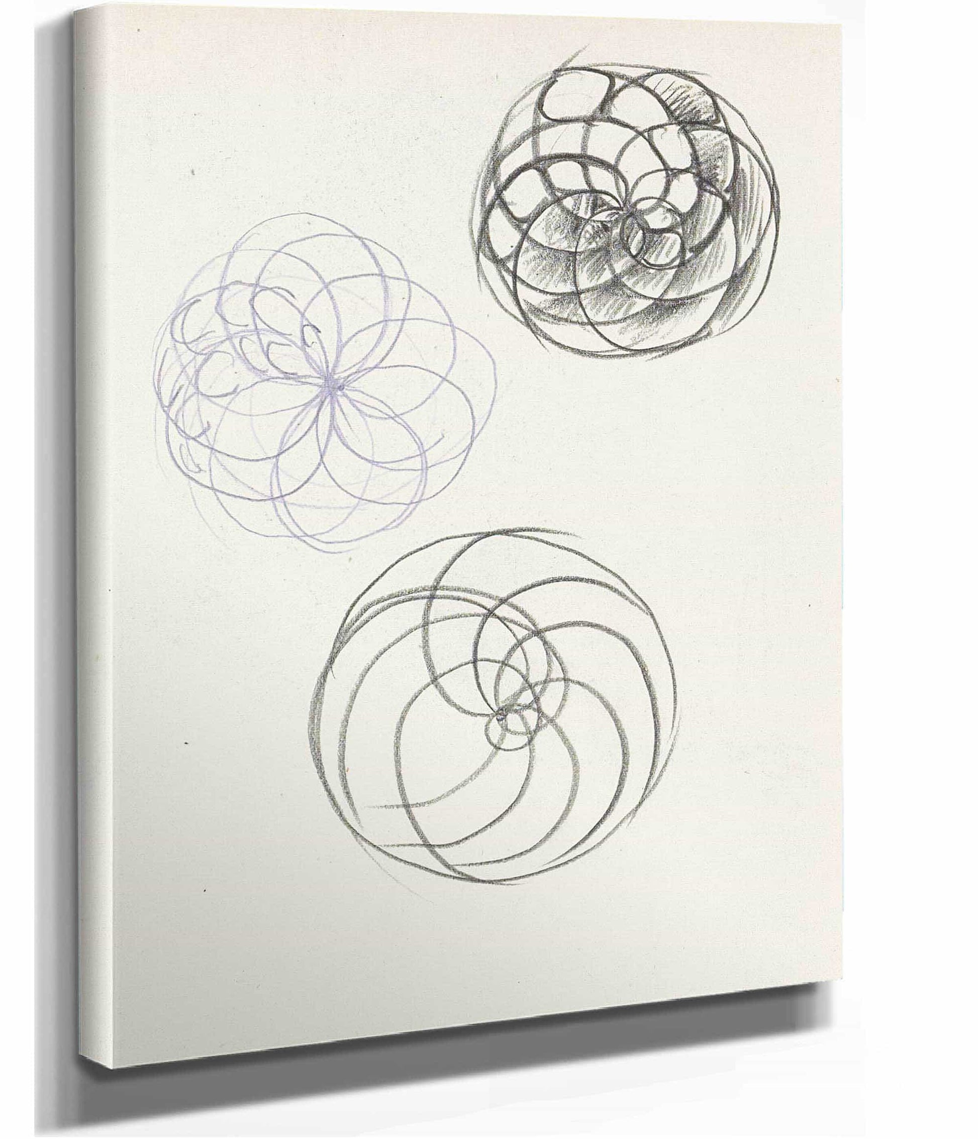 Bloemen by Reijer Stolk