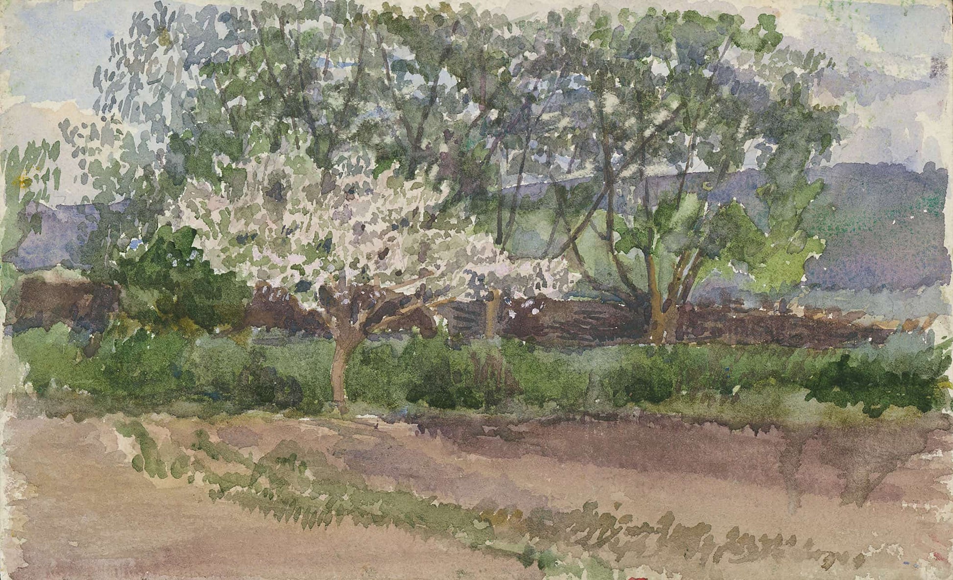 Blooming Tree   by Ladislav Mednyanszky