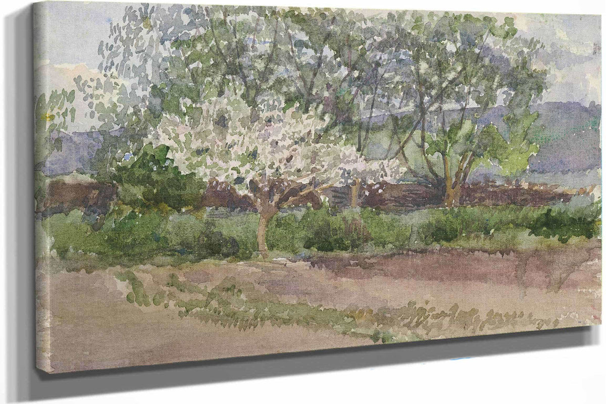 Blooming Tree   by Ladislav Mednyanszky