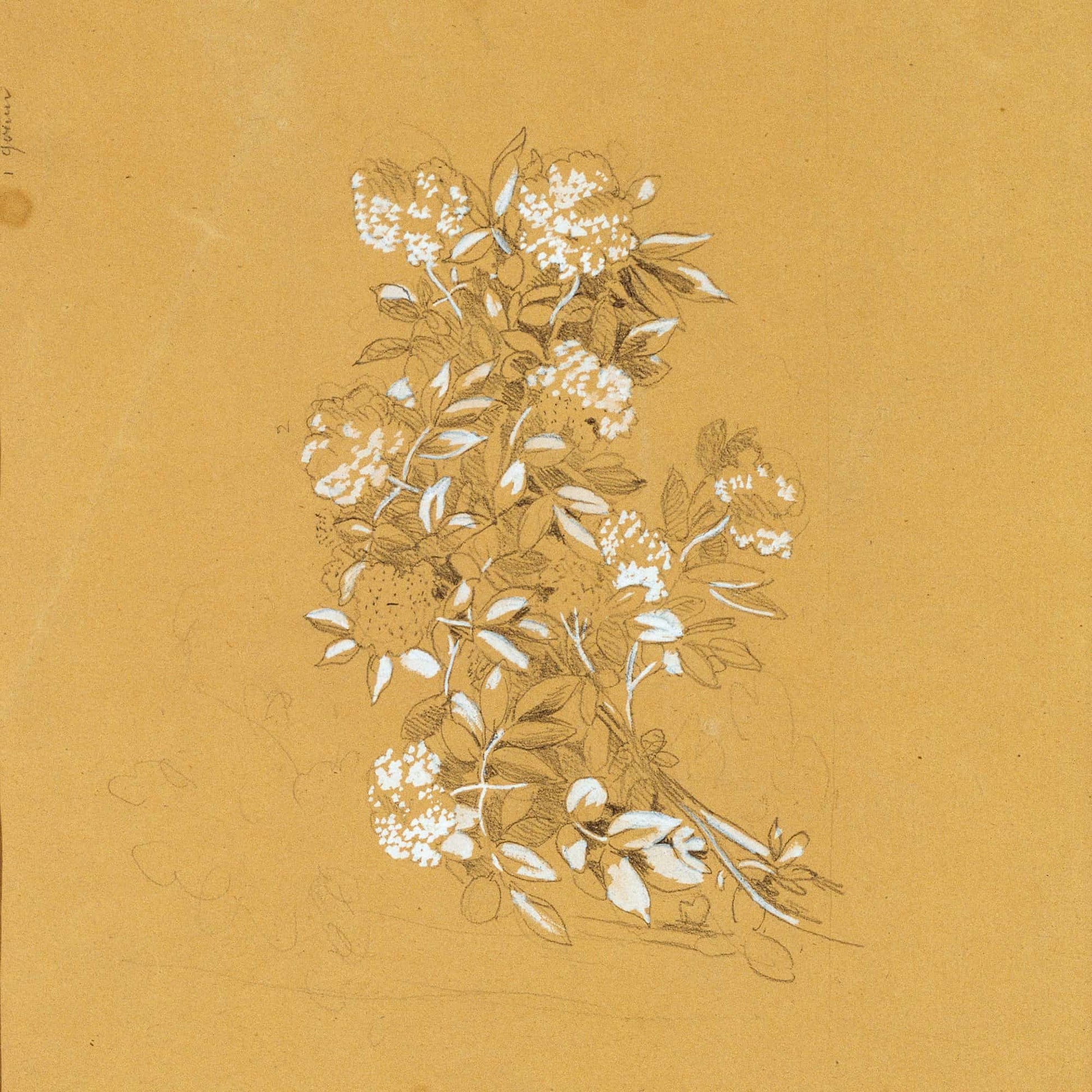 Blumenbouquet by Johann Peter Krafft