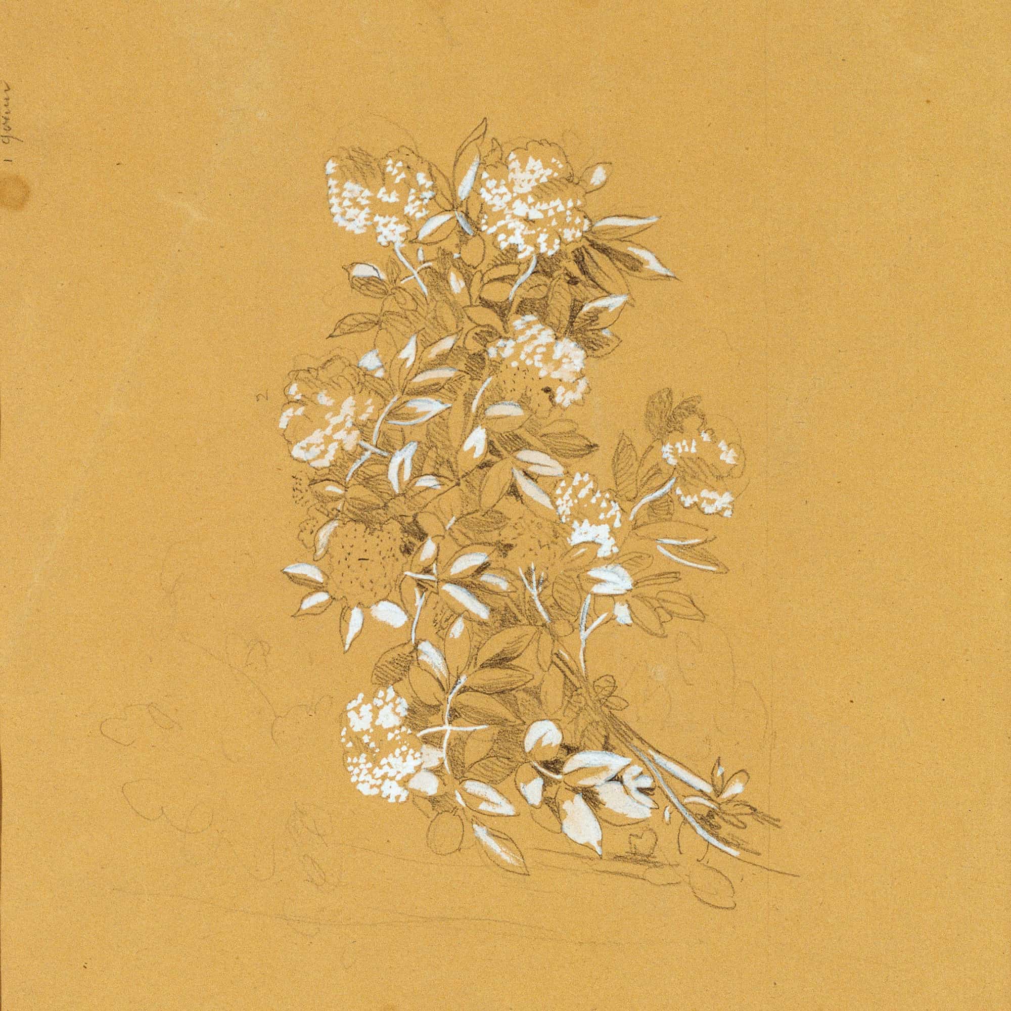 Blumenbouquet by Johann Peter Krafft