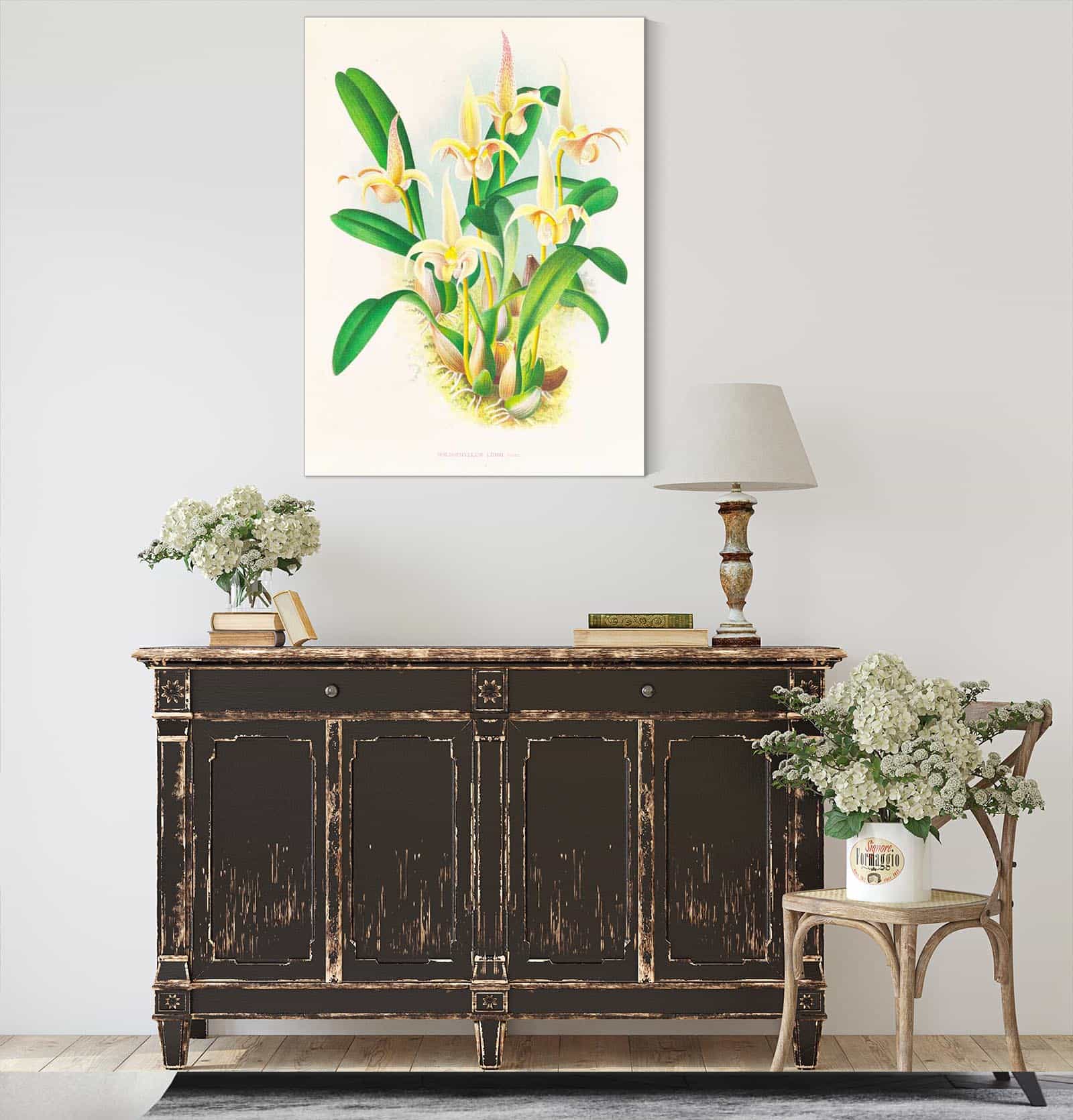 Bolbophyllum Lobbi by Jean Jules Linden
