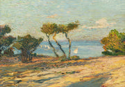 Bord De Mer Aux Pins Before by Henri Martin