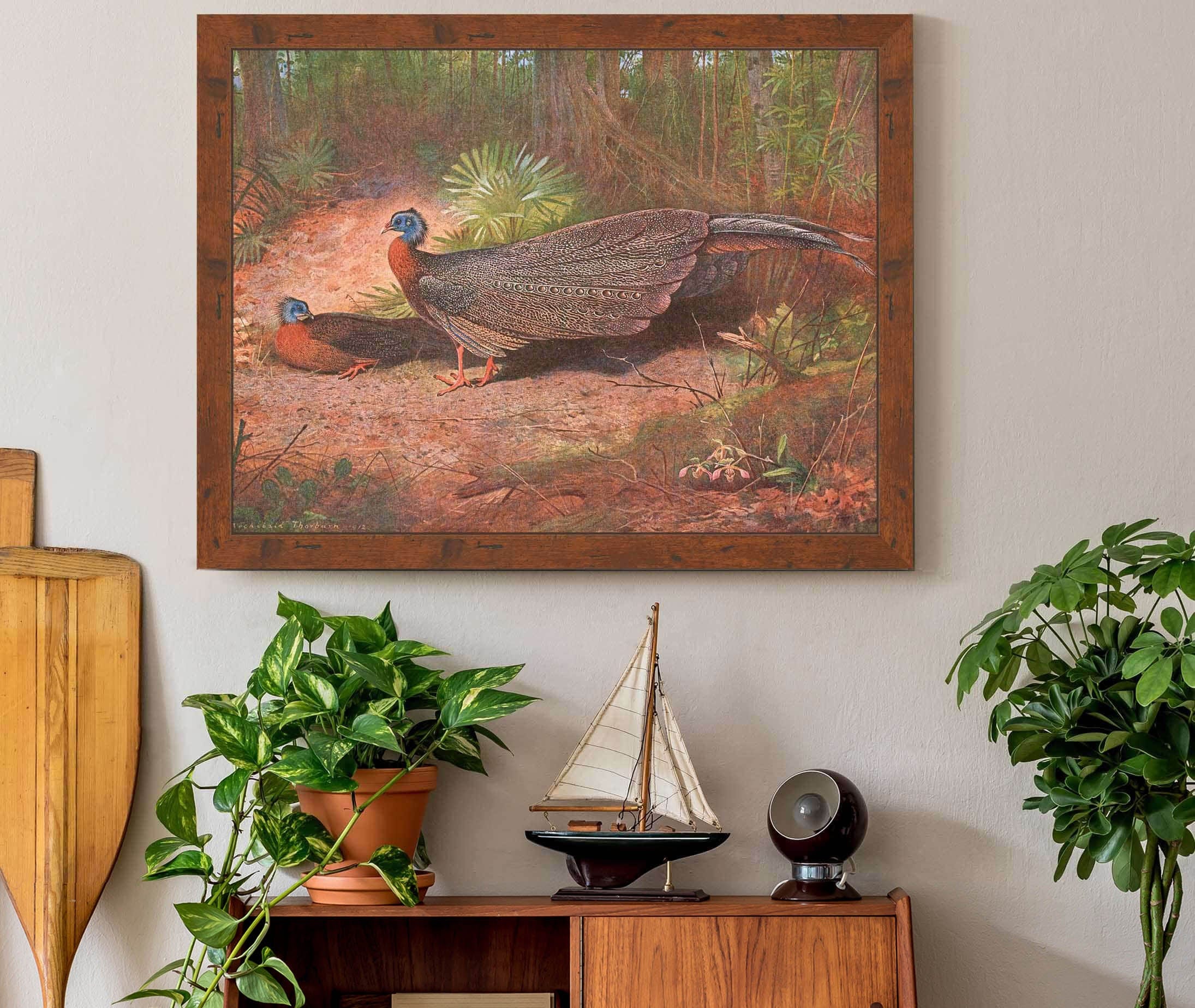 Bornean Argus Pheasant by Archibald Thorburn