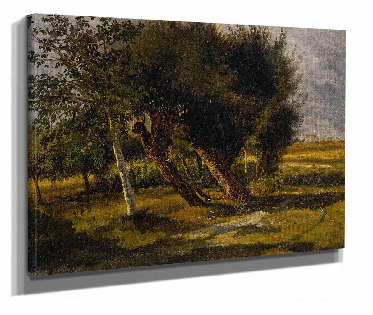 Bouquets Darbres Dans La Prairie by Rosa Bonheur