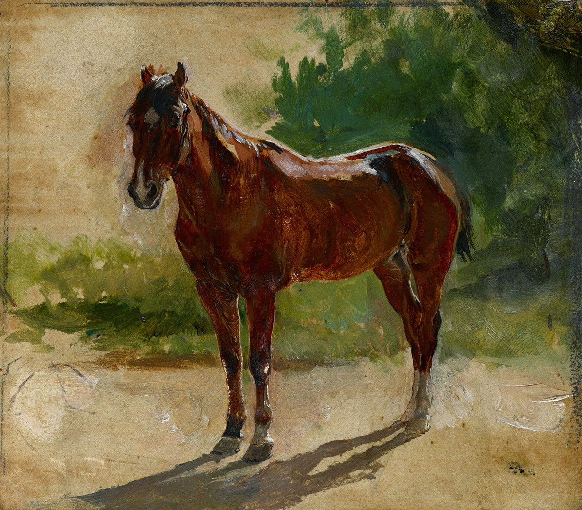 Brown Horse Study by Ernest Meissonier