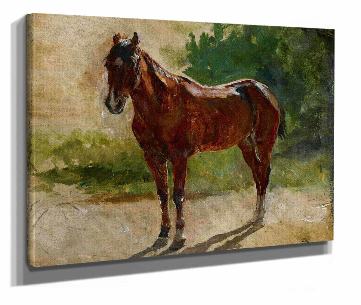 Brown Horse Study by Ernest Meissonier