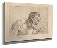 Bust Of An Old Man by Angelica Kauffmann