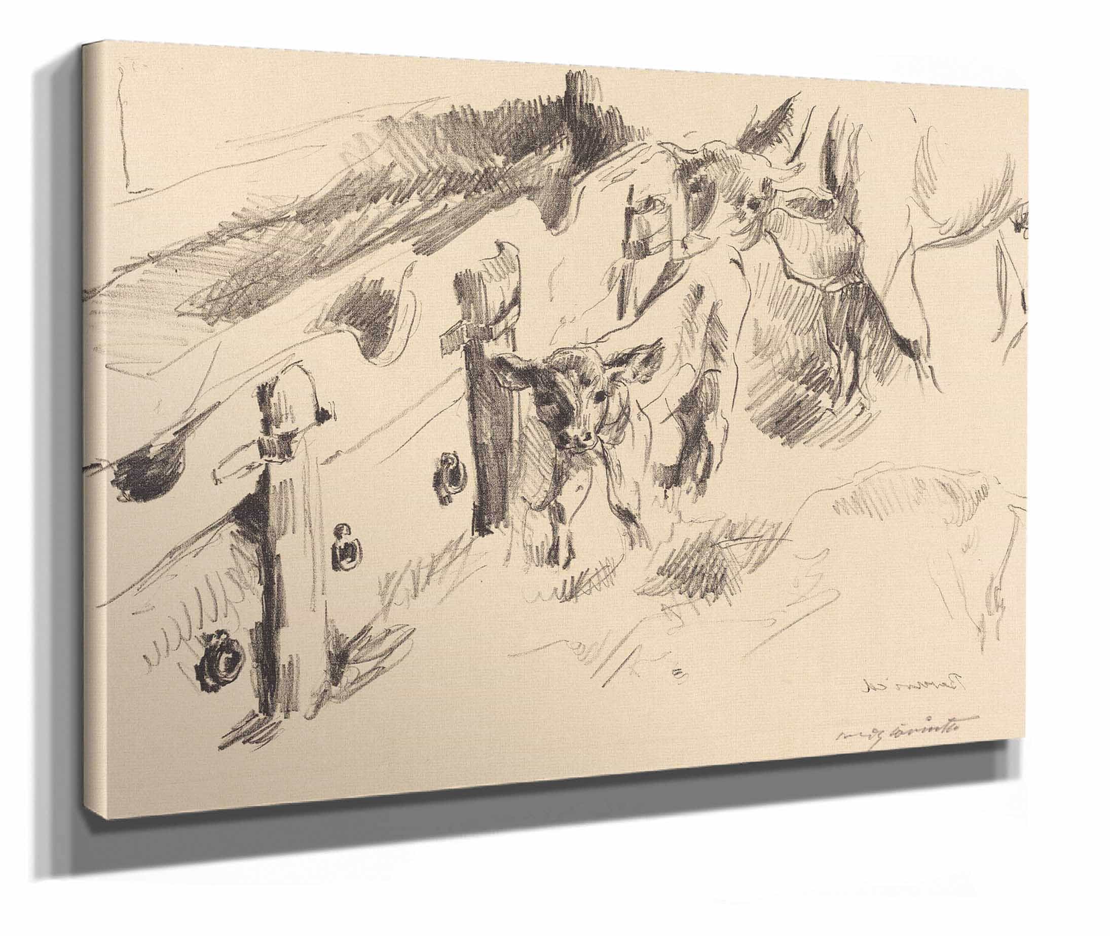 Calves Kalber by Lovis Corinth