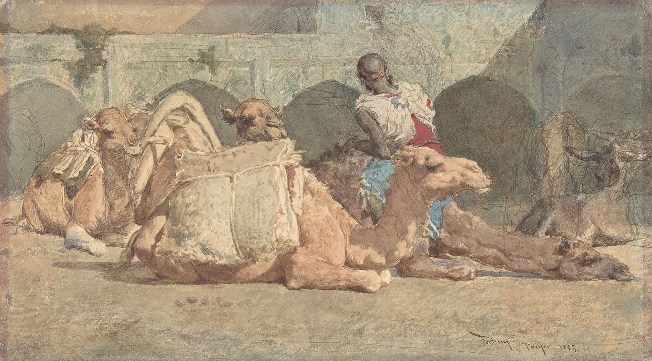 Camels Reposing Tangiers   by Mariano Fortuny Marsal