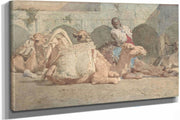 Camels Reposing Tangiers   by Mariano Fortuny Marsal