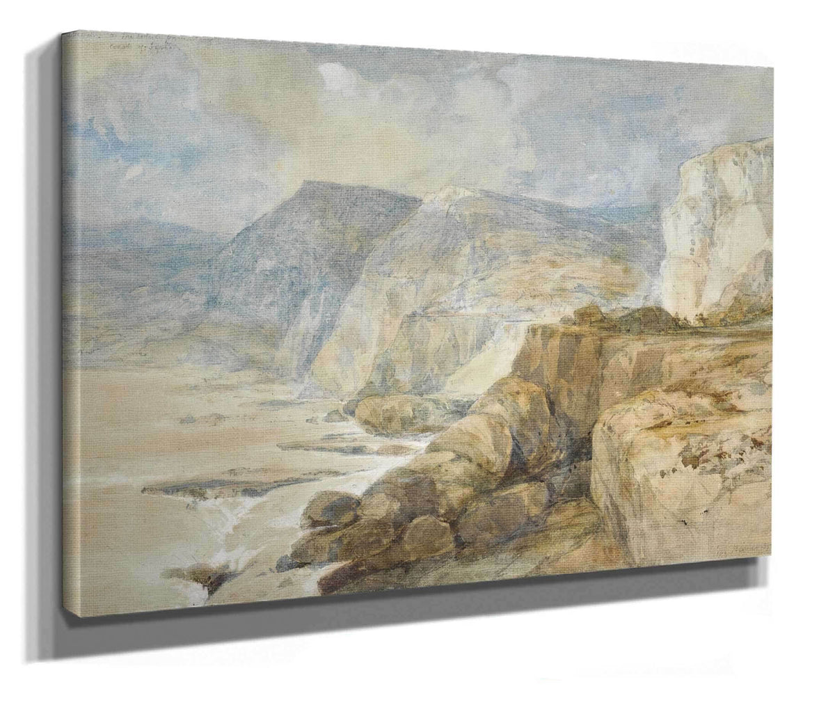 Cape Blanco Lebanon by David Roberts