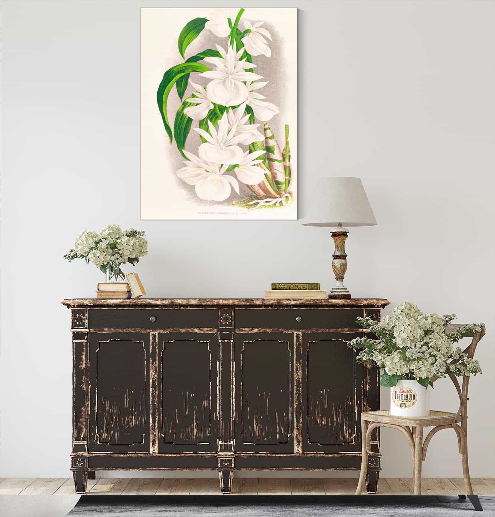 Catasetum Bungerothi by Jean Jules Linden