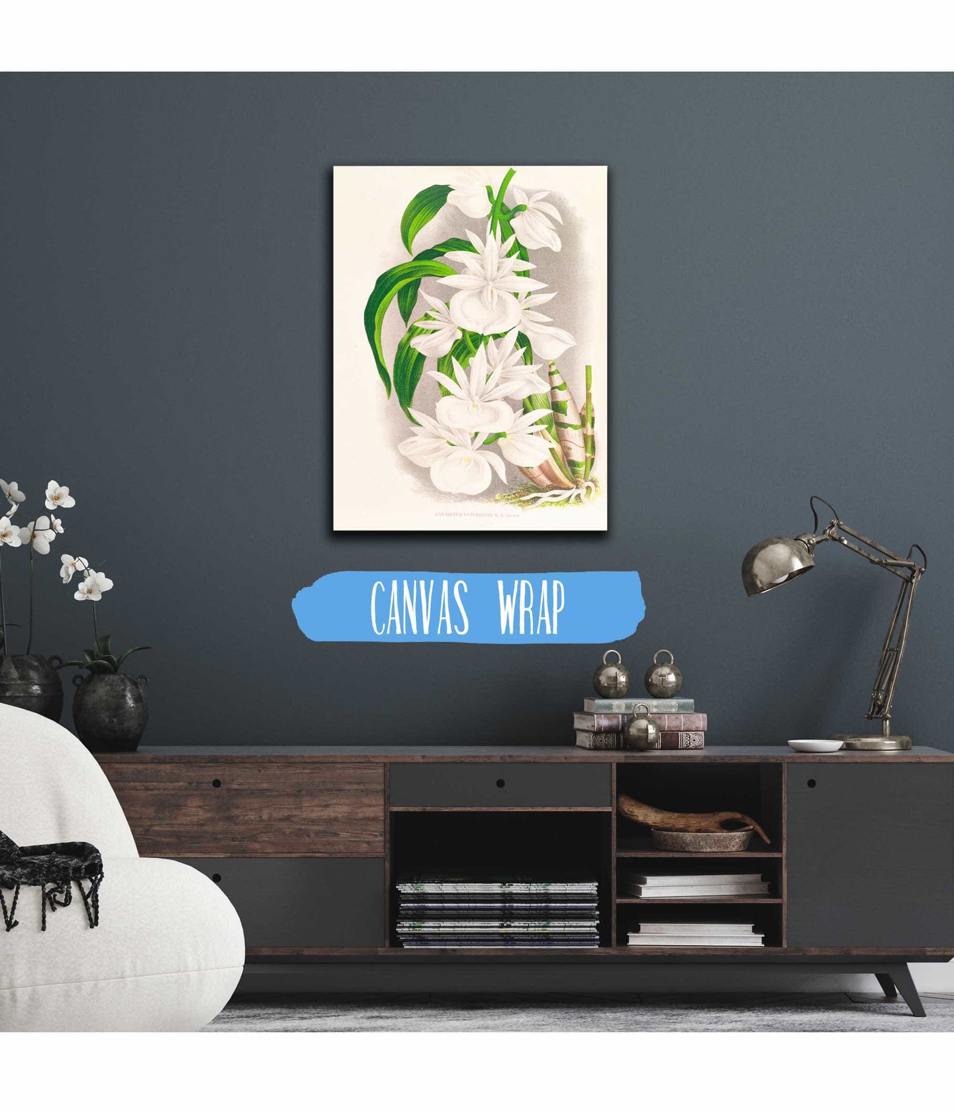 Catasetum Bungerothi by Jean Jules Linden