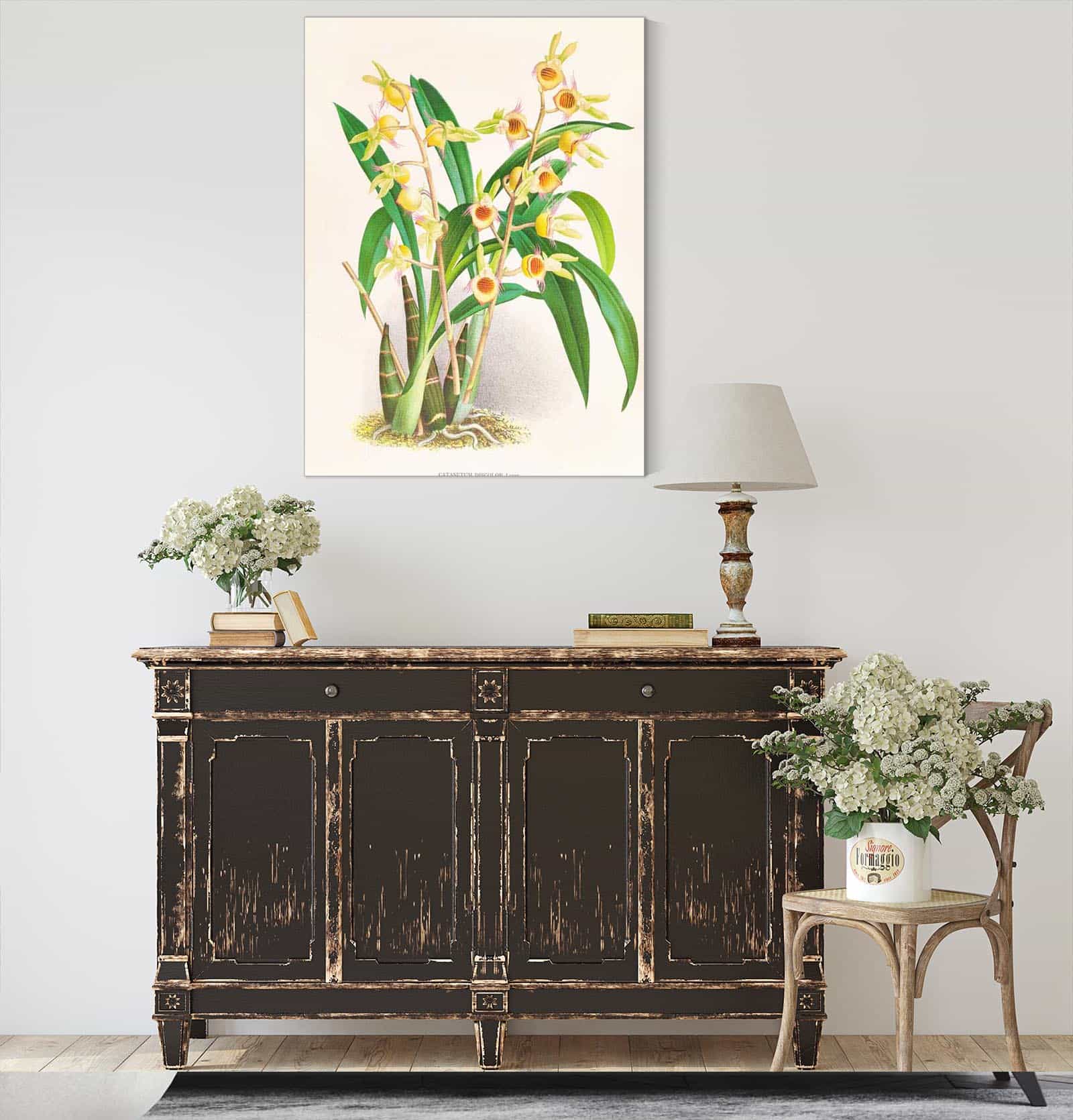 Catasetum Discolor by Jean Jules Linden