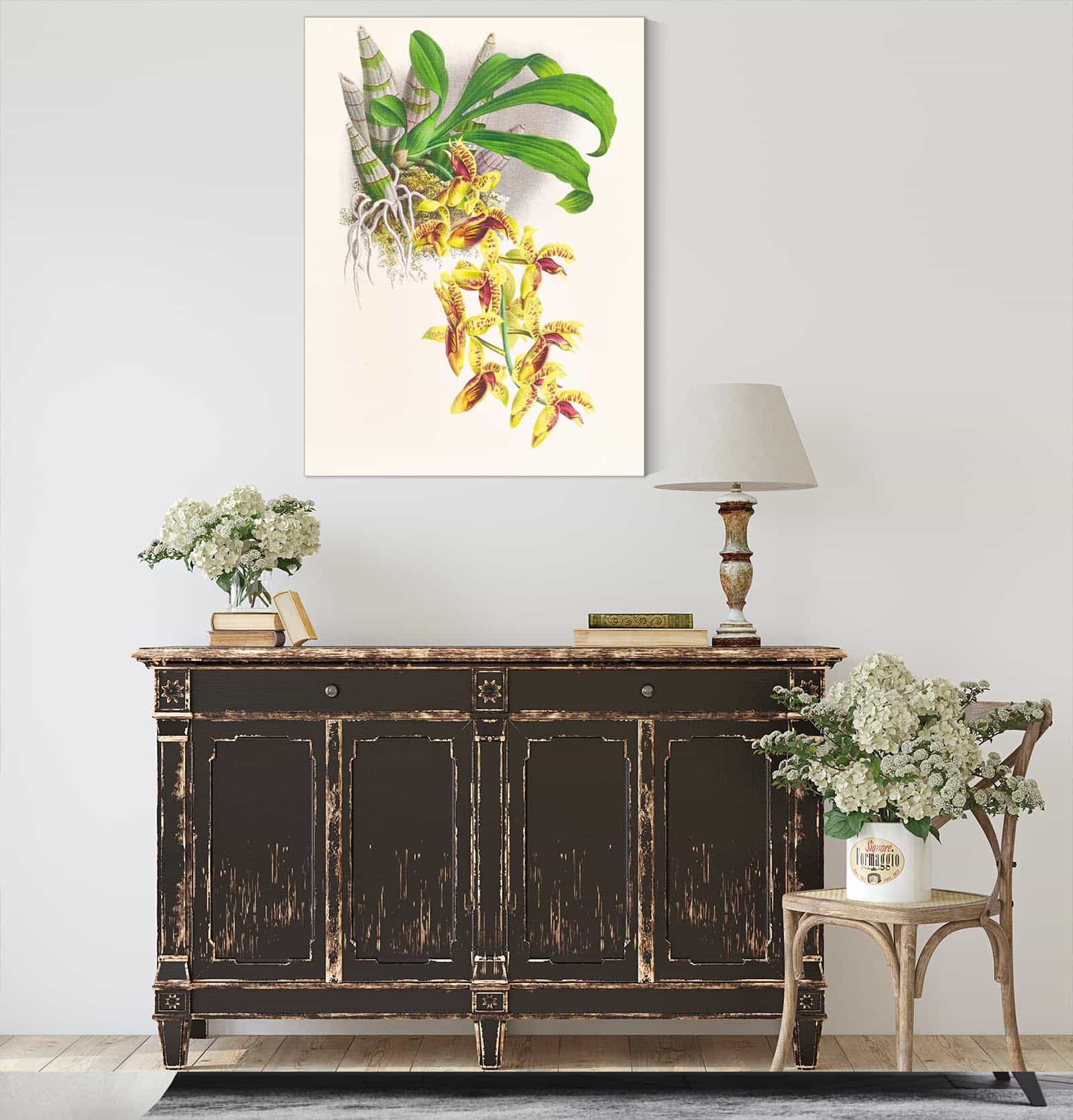 Catasetum Galeritum by Jean Jules Linden