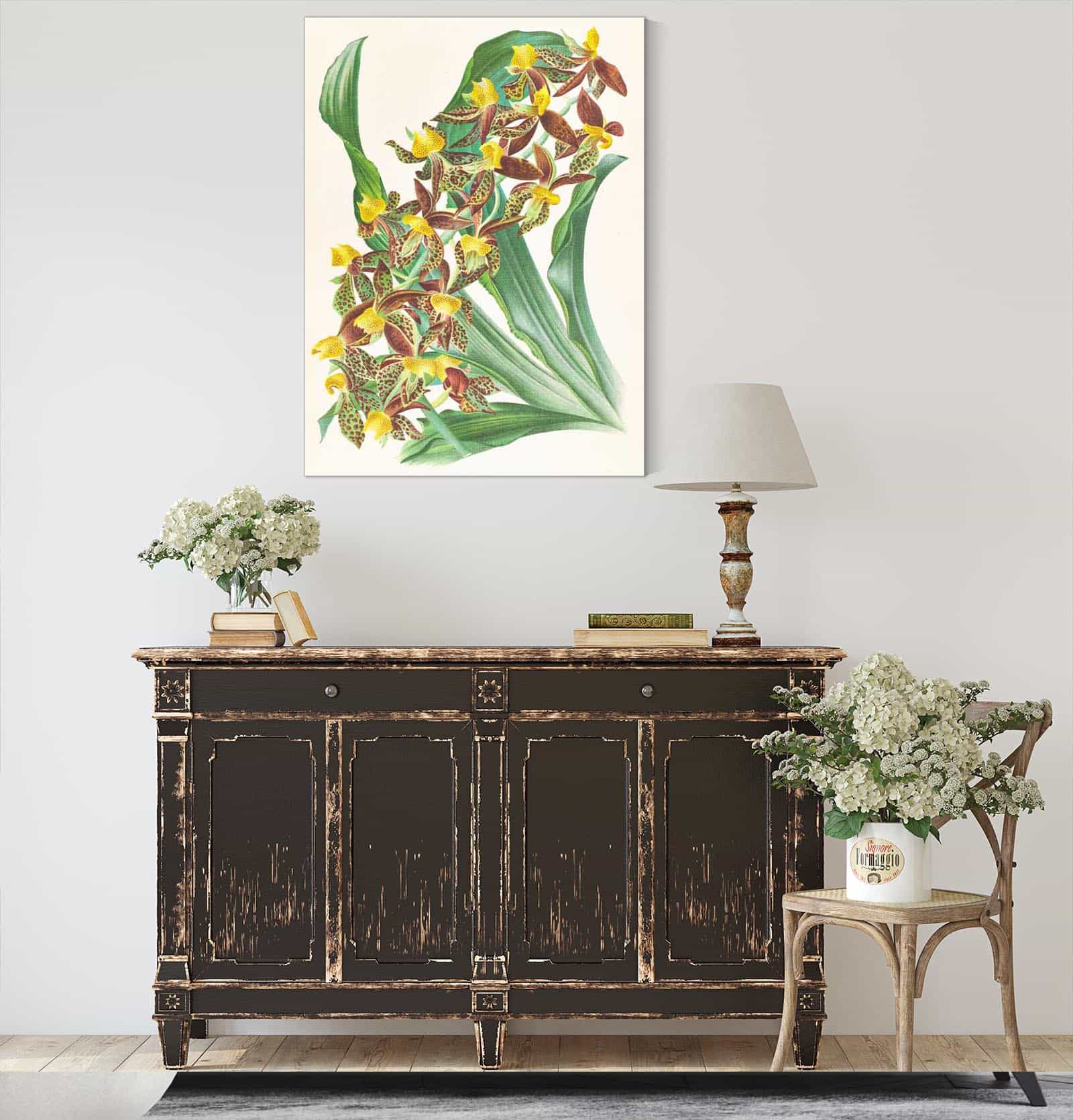 Catasetum Rodigasianum by Jean Jules Linden