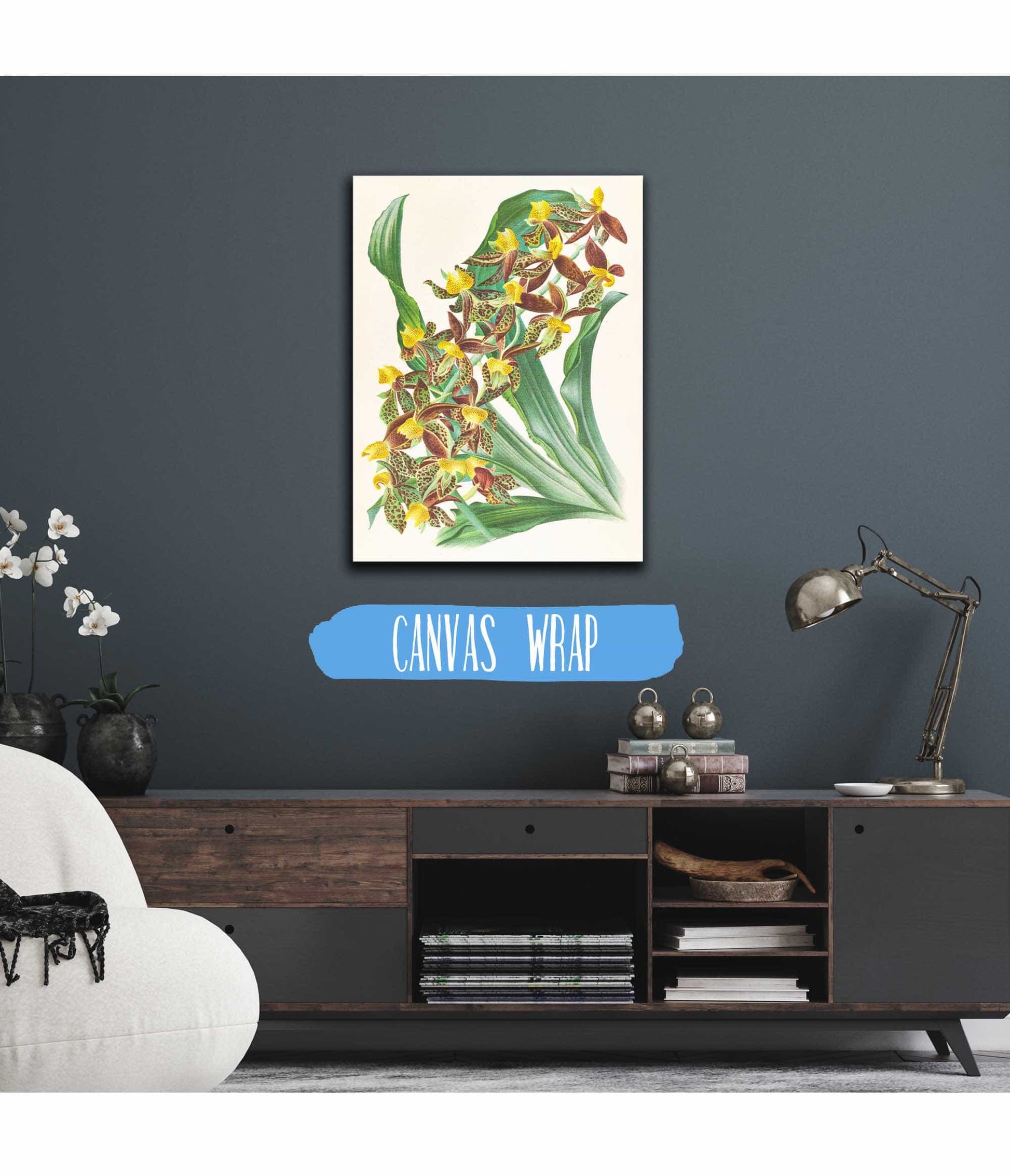 Catasetum Rodigasianum by Jean Jules Linden